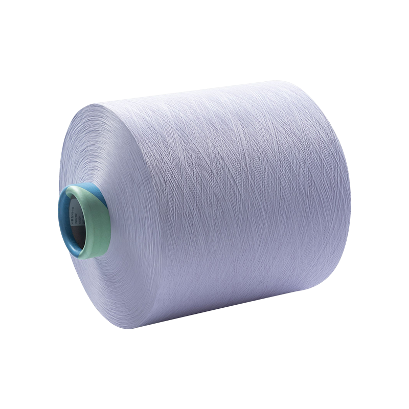 Polyester DTY Paars ZP0471-ZP0566 306